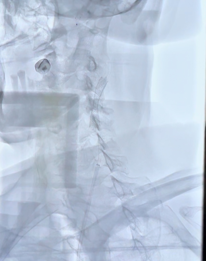 scale_1200 (3).jpg scale_1200 (3).jpg